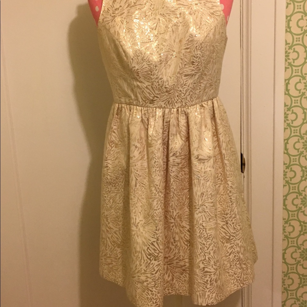 Perfect holiday dress